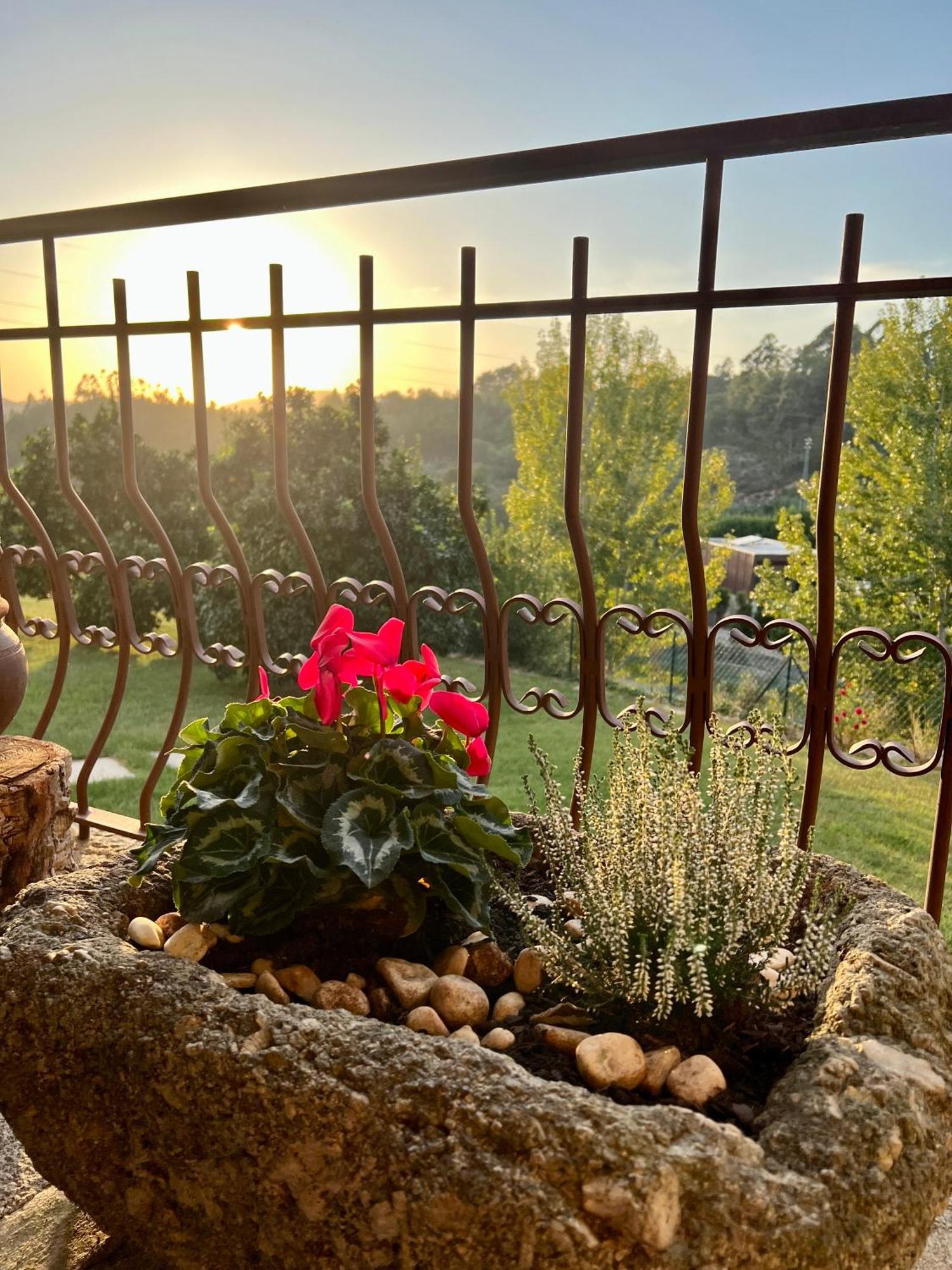 Alpendurada Quinta De Villasete المظهر الخارجي الصورة