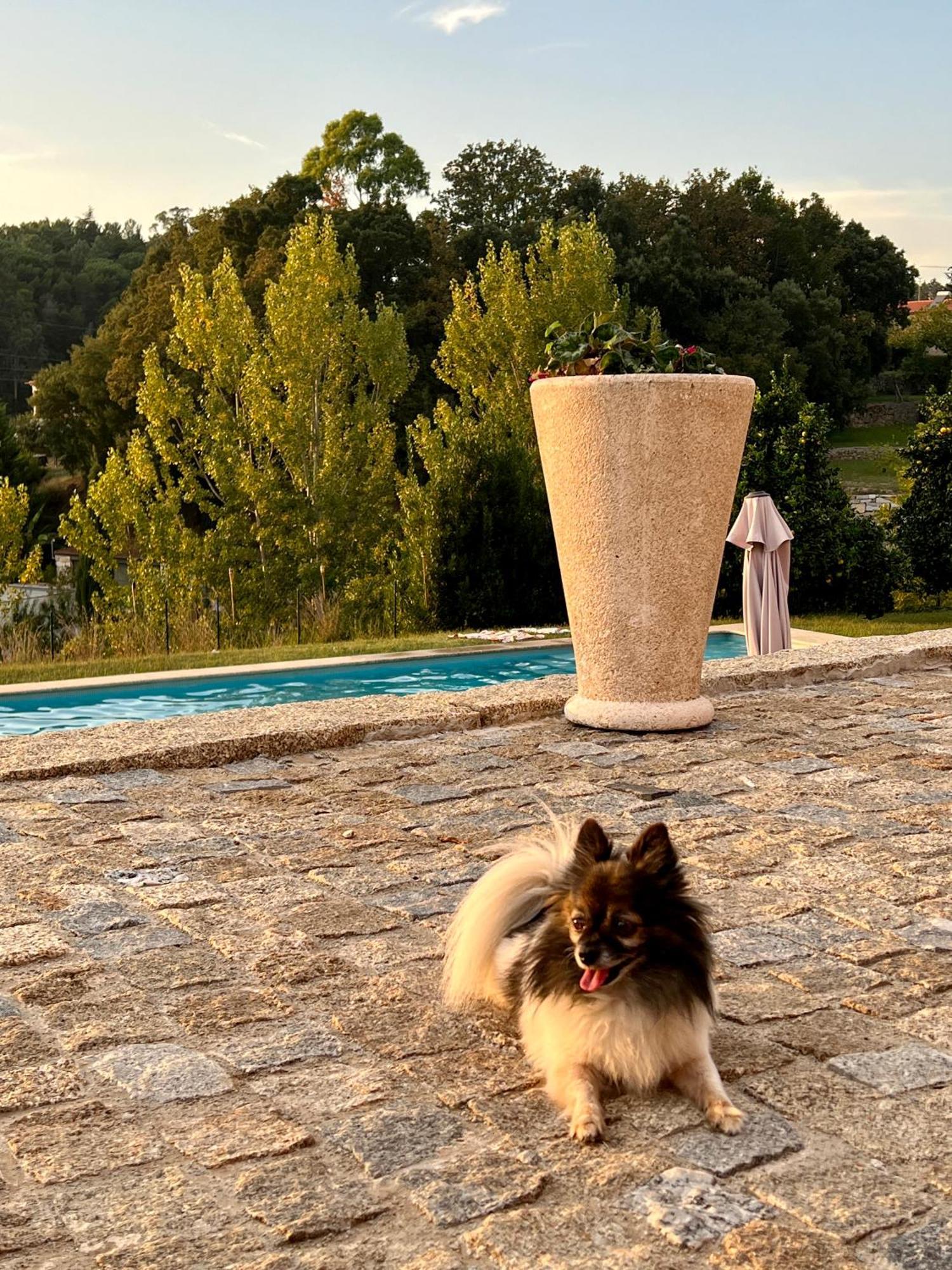 Alpendurada Quinta De Villasete المظهر الخارجي الصورة