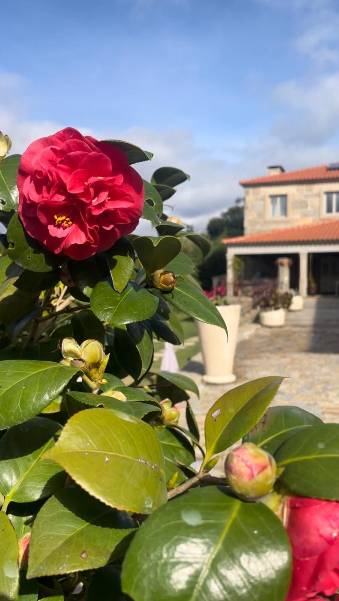Alpendurada Quinta De Villasete المظهر الخارجي الصورة