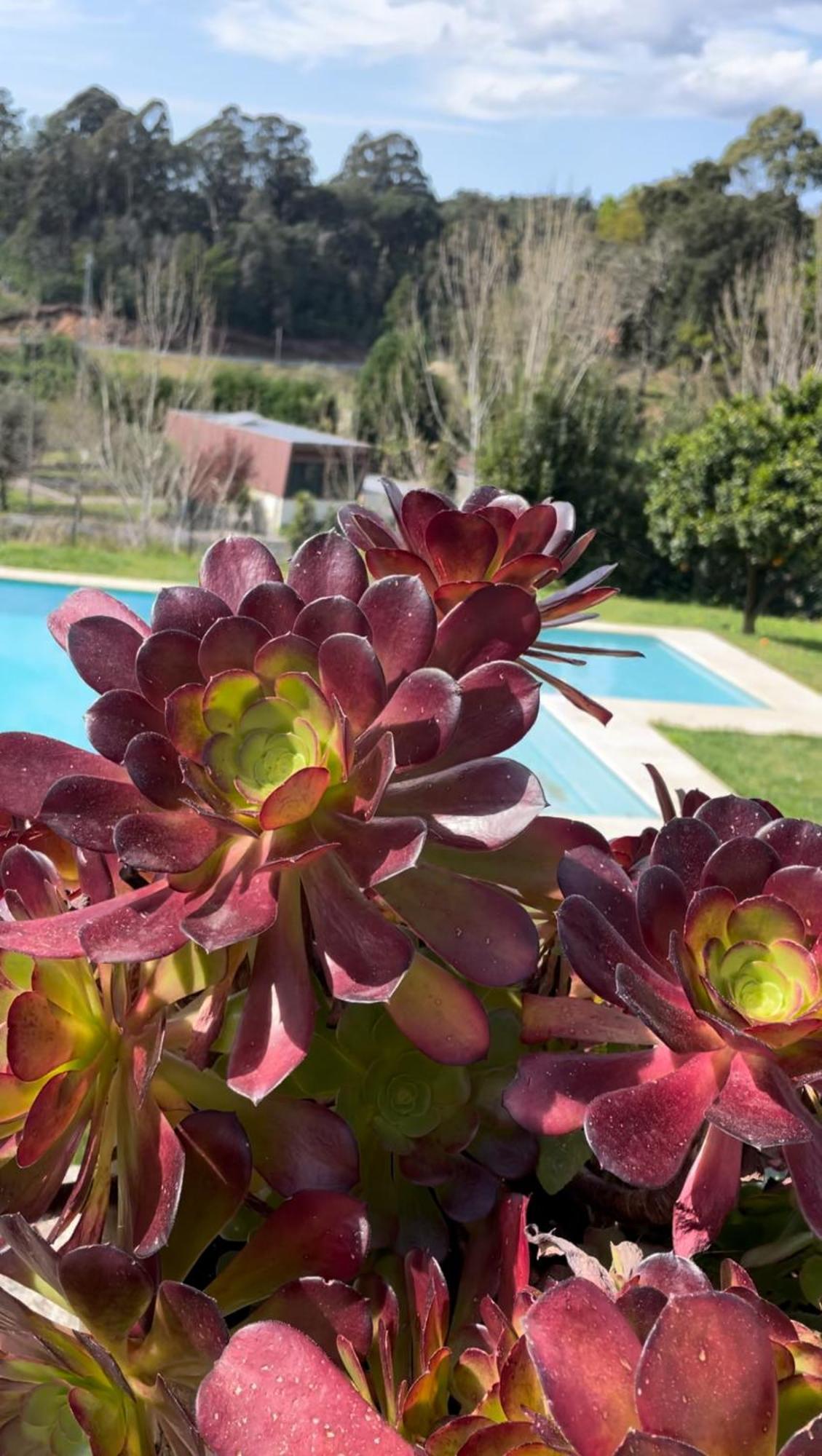 Alpendurada Quinta De Villasete المظهر الخارجي الصورة