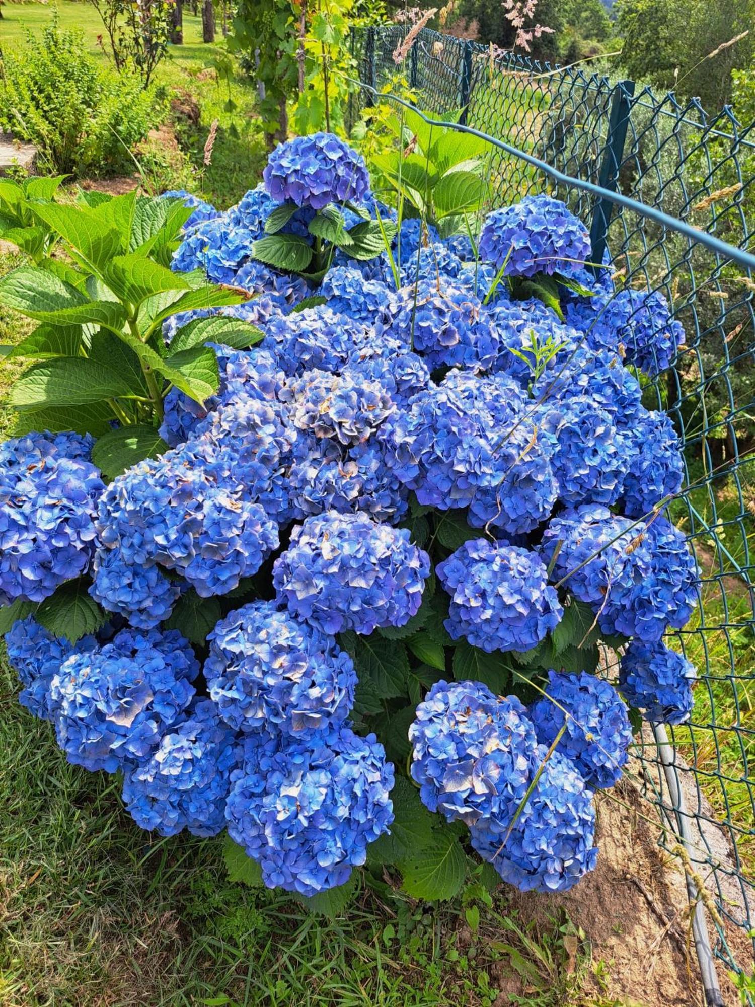 Alpendurada Quinta De Villasete المظهر الخارجي الصورة