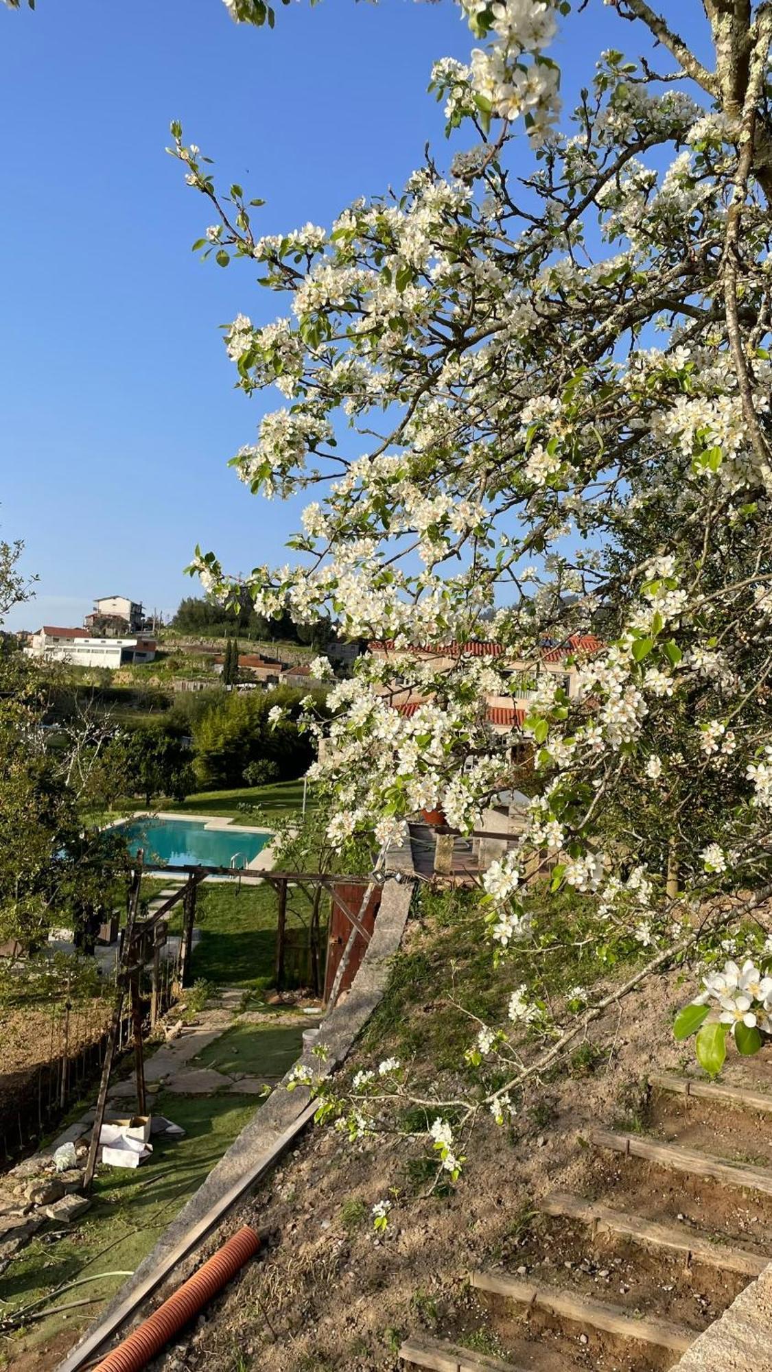 Alpendurada Quinta De Villasete المظهر الخارجي الصورة