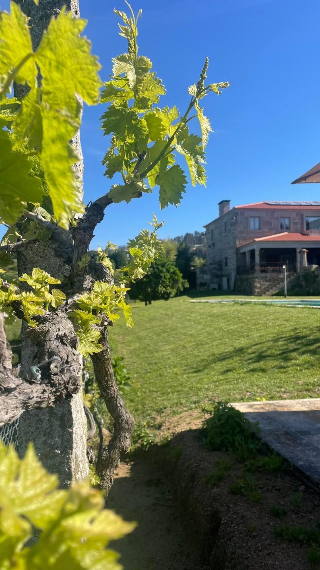 Alpendurada Quinta De Villasete المظهر الخارجي الصورة