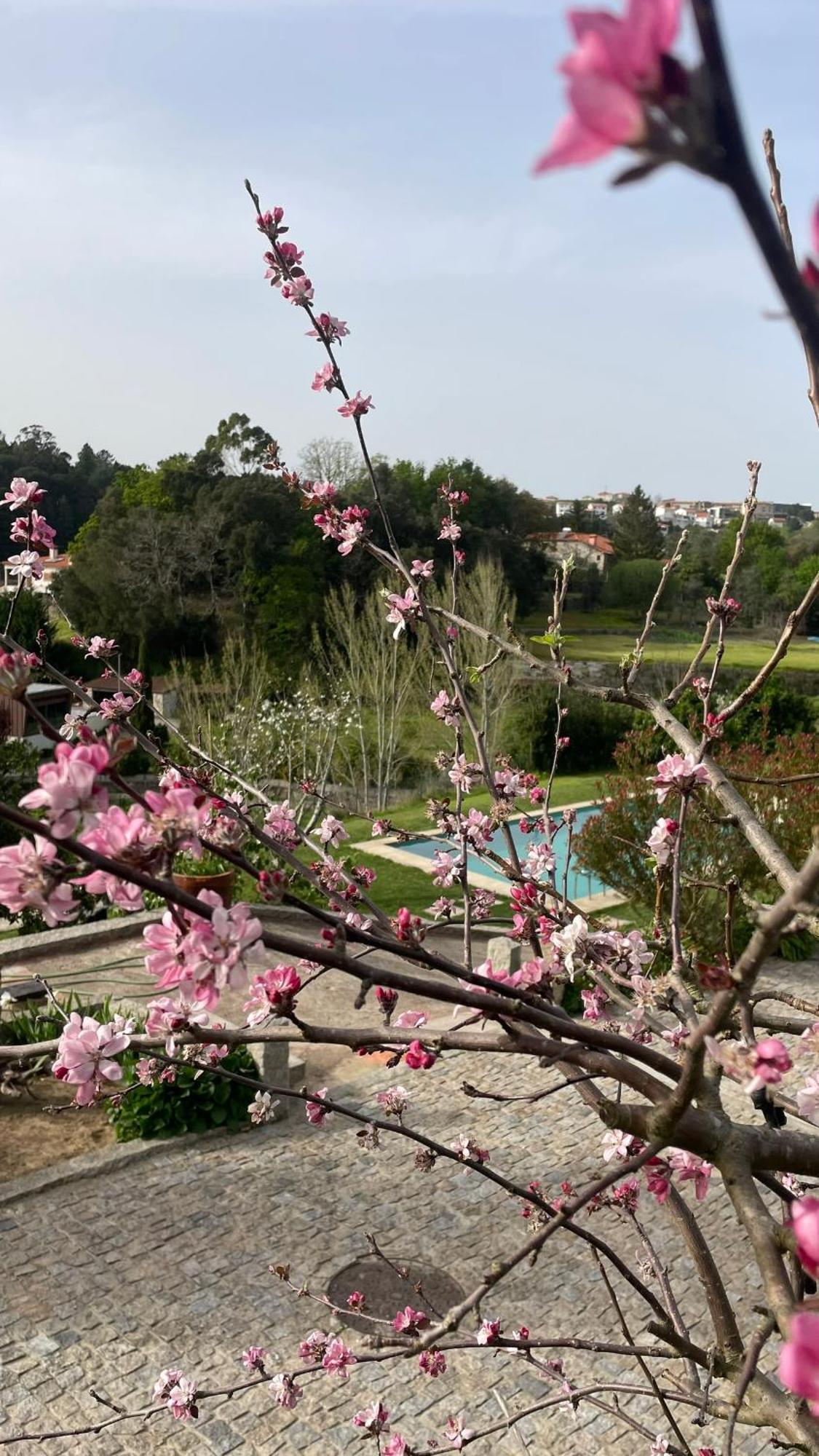 Alpendurada Quinta De Villasete المظهر الخارجي الصورة