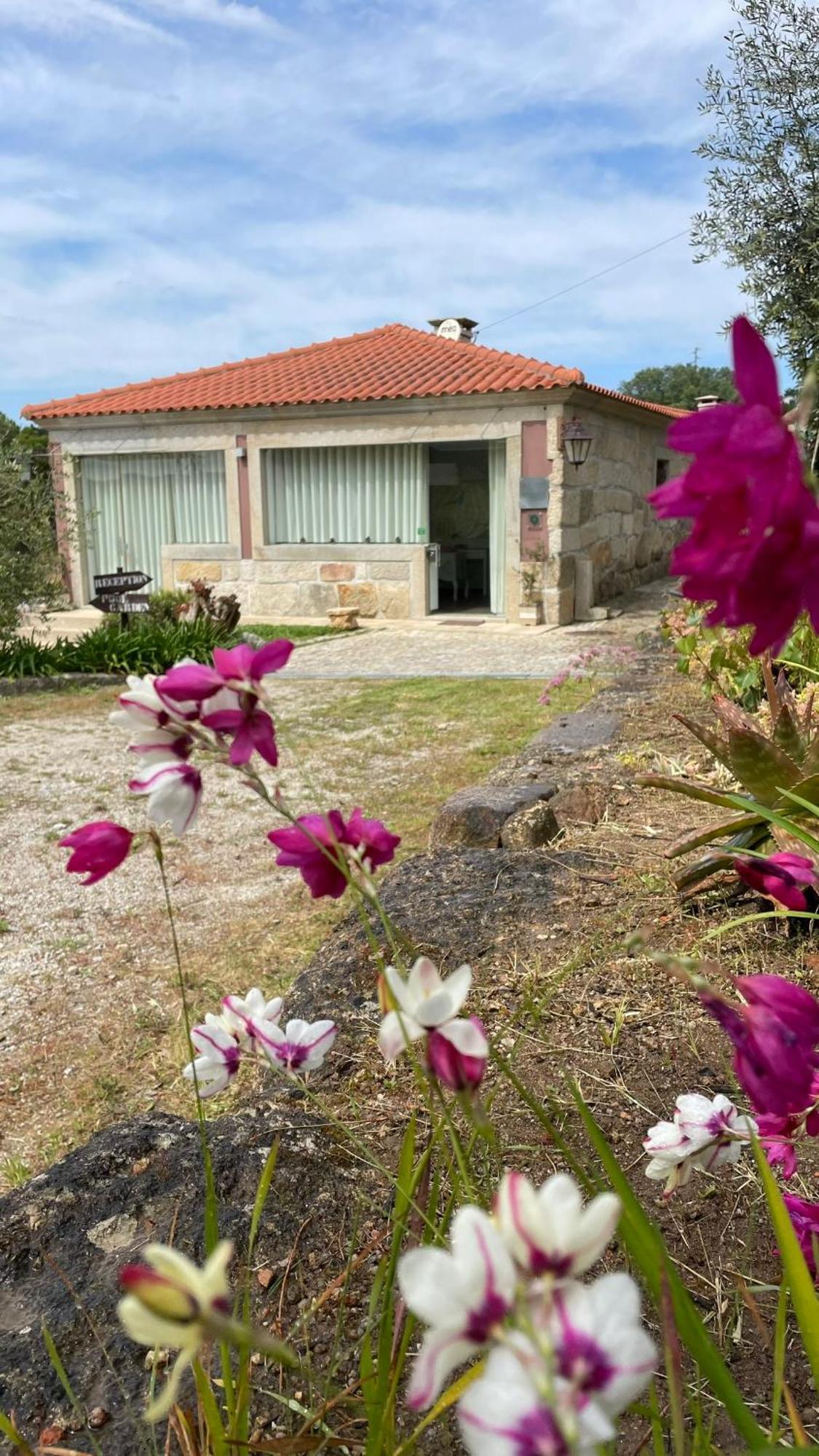 Alpendurada Quinta De Villasete المظهر الخارجي الصورة