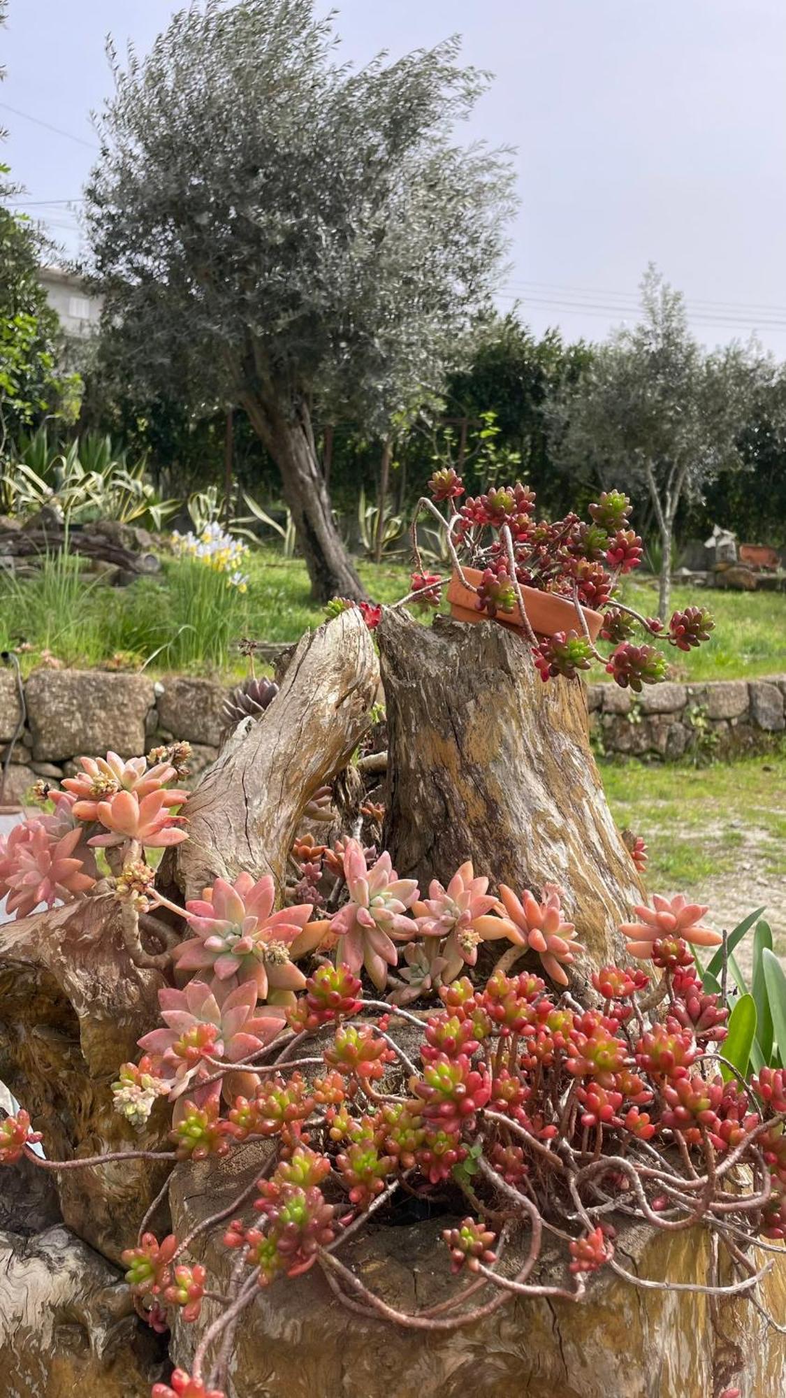 Alpendurada Quinta De Villasete المظهر الخارجي الصورة