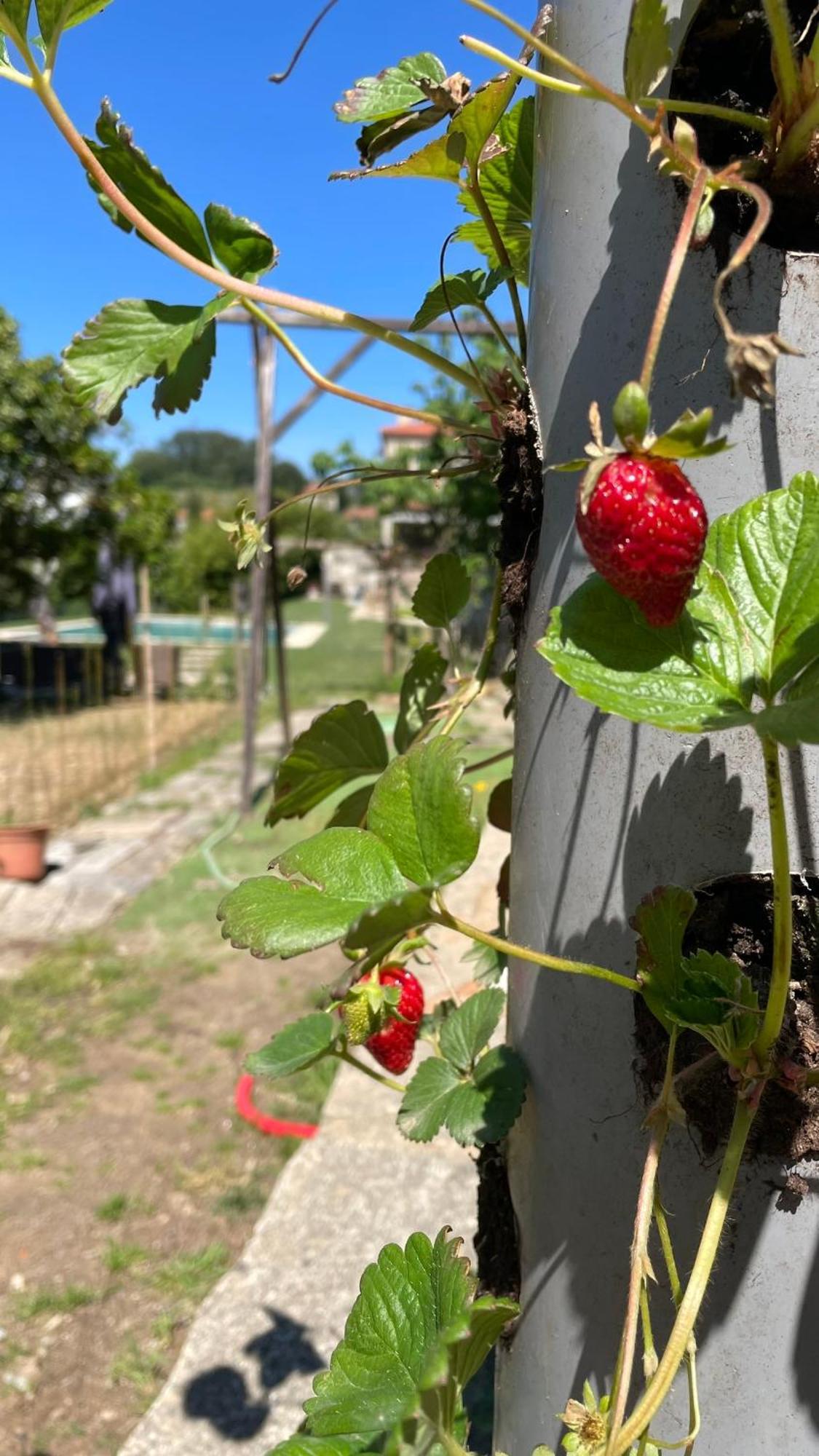 Alpendurada Quinta De Villasete المظهر الخارجي الصورة