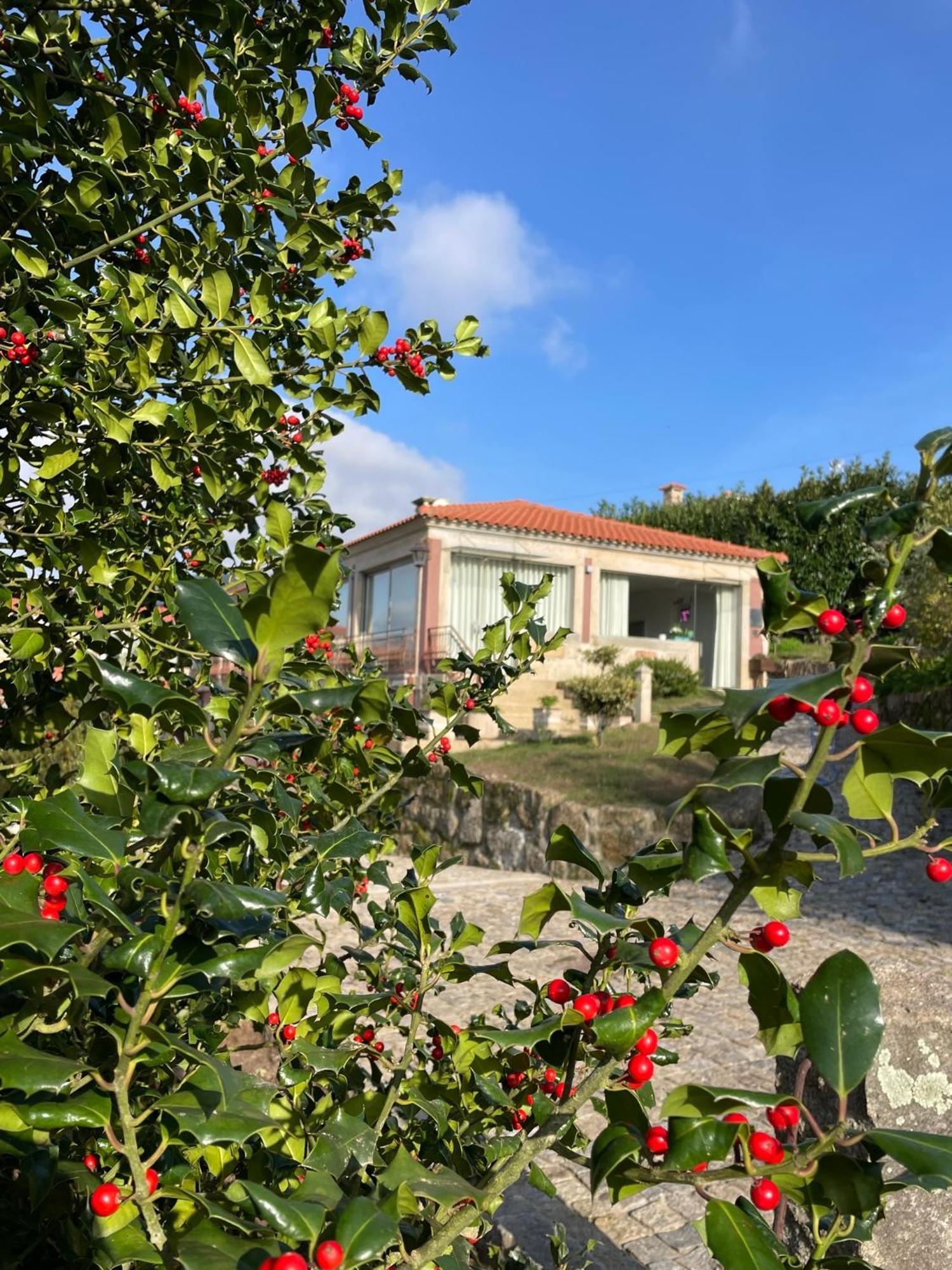 Alpendurada Quinta De Villasete المظهر الخارجي الصورة