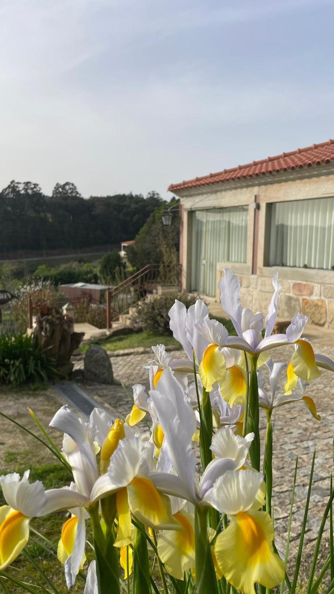 Alpendurada Quinta De Villasete المظهر الخارجي الصورة