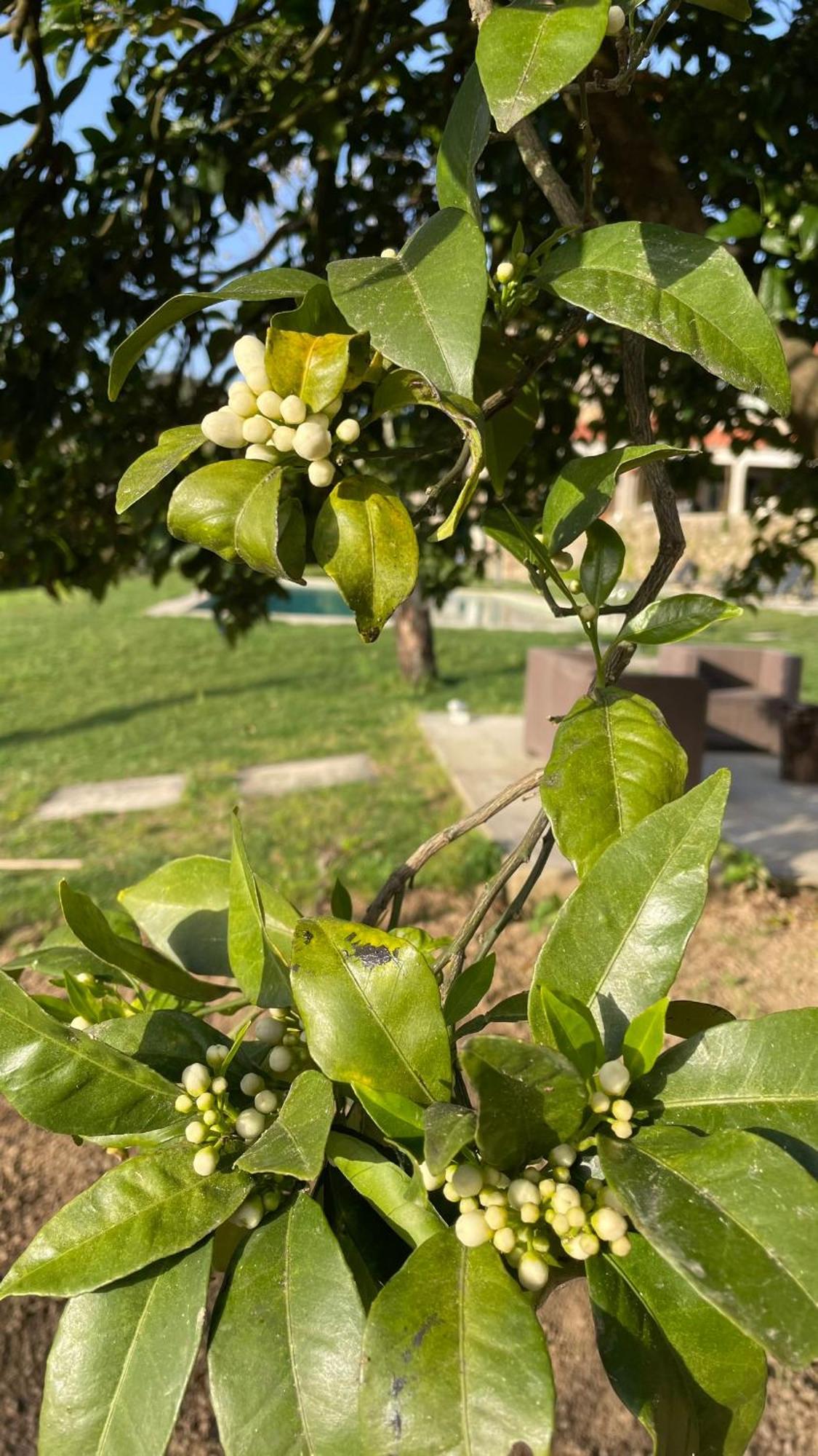 Alpendurada Quinta De Villasete المظهر الخارجي الصورة
