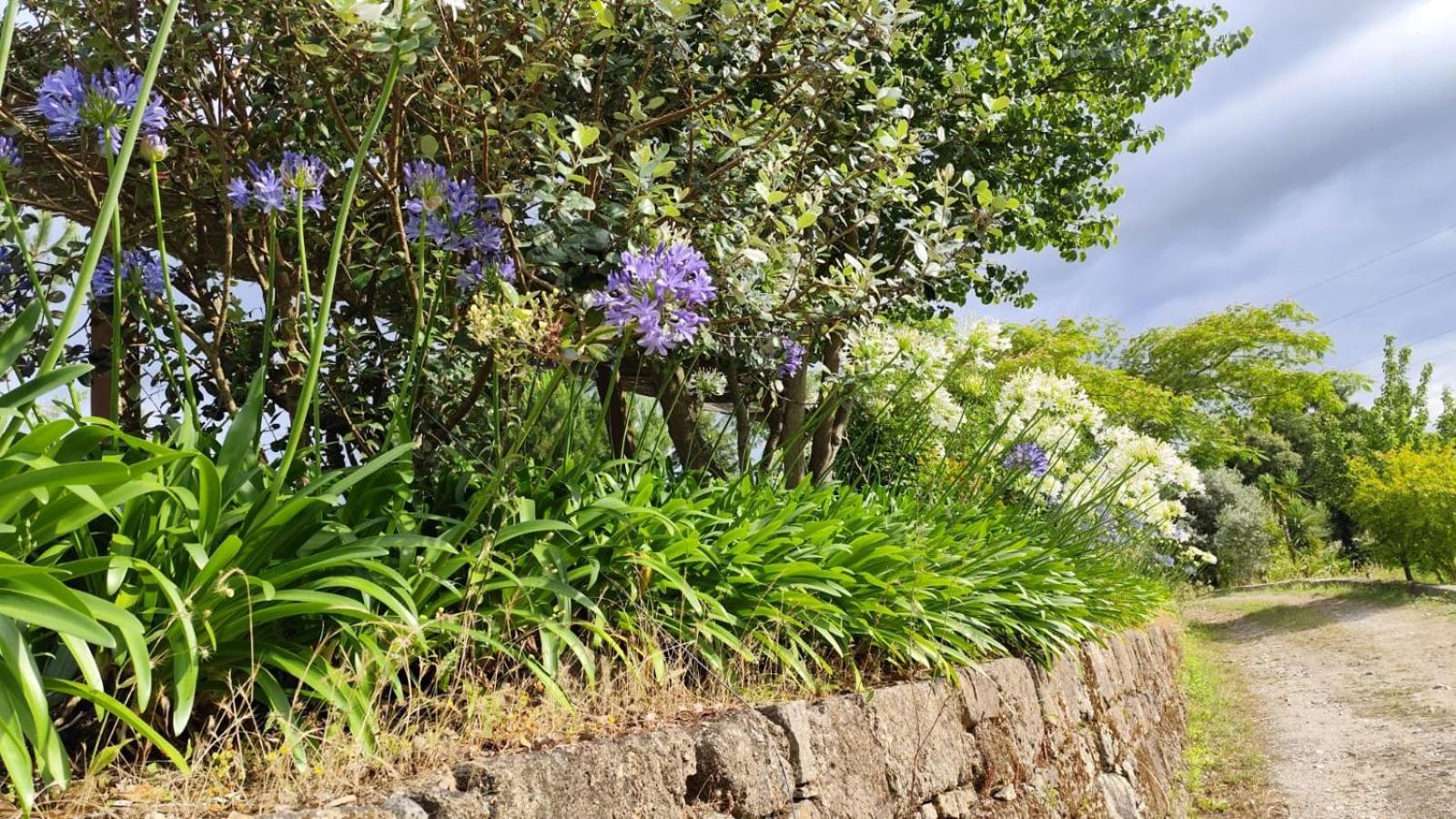Alpendurada Quinta De Villasete المظهر الخارجي الصورة